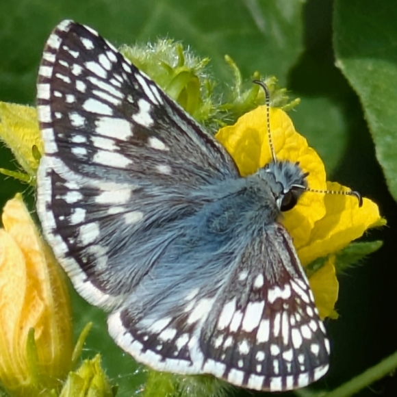 ♥️ - Picture 10 of 11